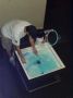 040905_cdm02.JPG