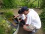 040905_cdm04.JPG