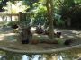 060105_happyhollow06.JPG