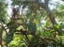 060105_happyhollow07.JPG